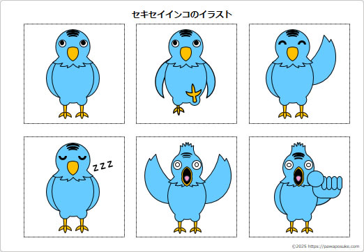 セキセイインコのイラストの画像２